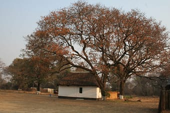 Kafwala Lodge