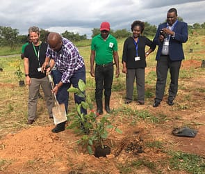 Director of Kenneth Kaunda International Airport Lusaka Planting trees